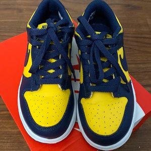 Like New Nike Dunk Low (PS) (limited)